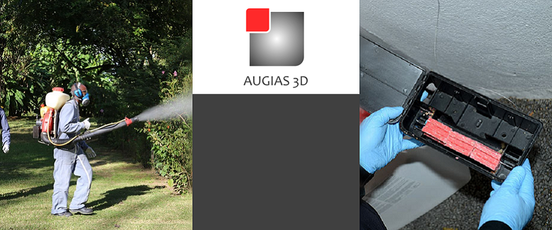 Dératisation et désinsectisation professionnelle à Madagascar